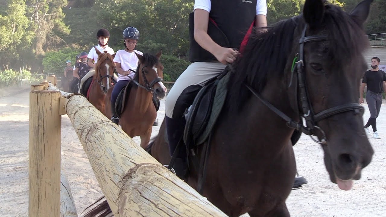 El Centro Ecuestre encargado de llevar a cabo el Campus de verano de equitación