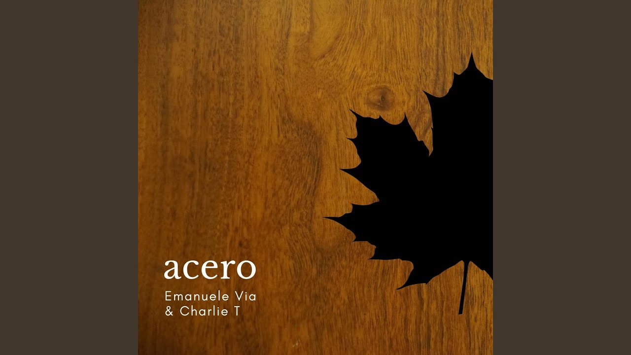 Acero (feat. Charlie T)