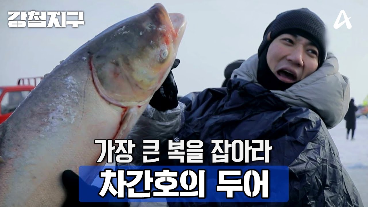 [예고] 비싼 건 3억 원?! 1년에 한 달만 잡을 수 있는 물고기! 차간호의 두어 | 강철지구 67 회