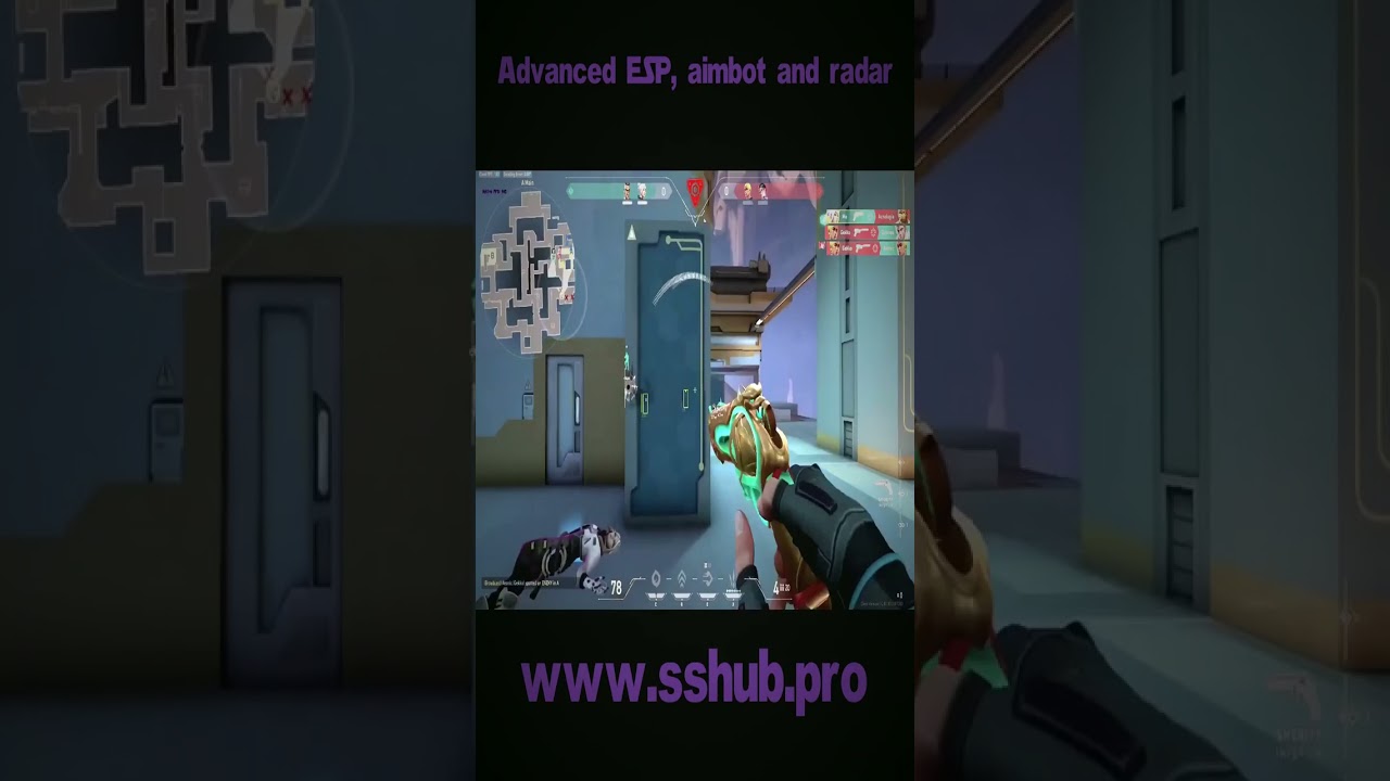 SSHUB | VALORANT DLL INJECTOR 2025 ⚡ | AIM + WH 🎯 + 100% UNDETECTED