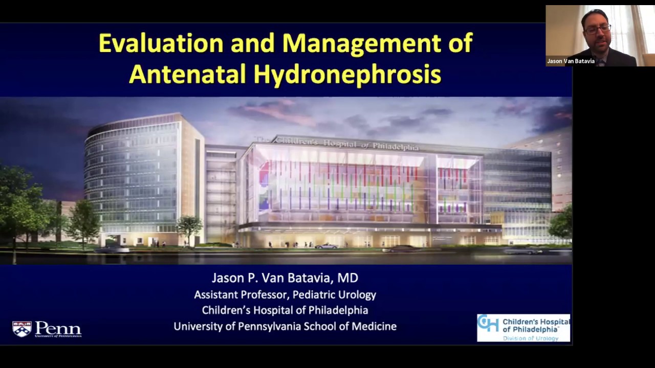 Antenatal Hydronephrosis - EMPIRE Urology Lecture Series