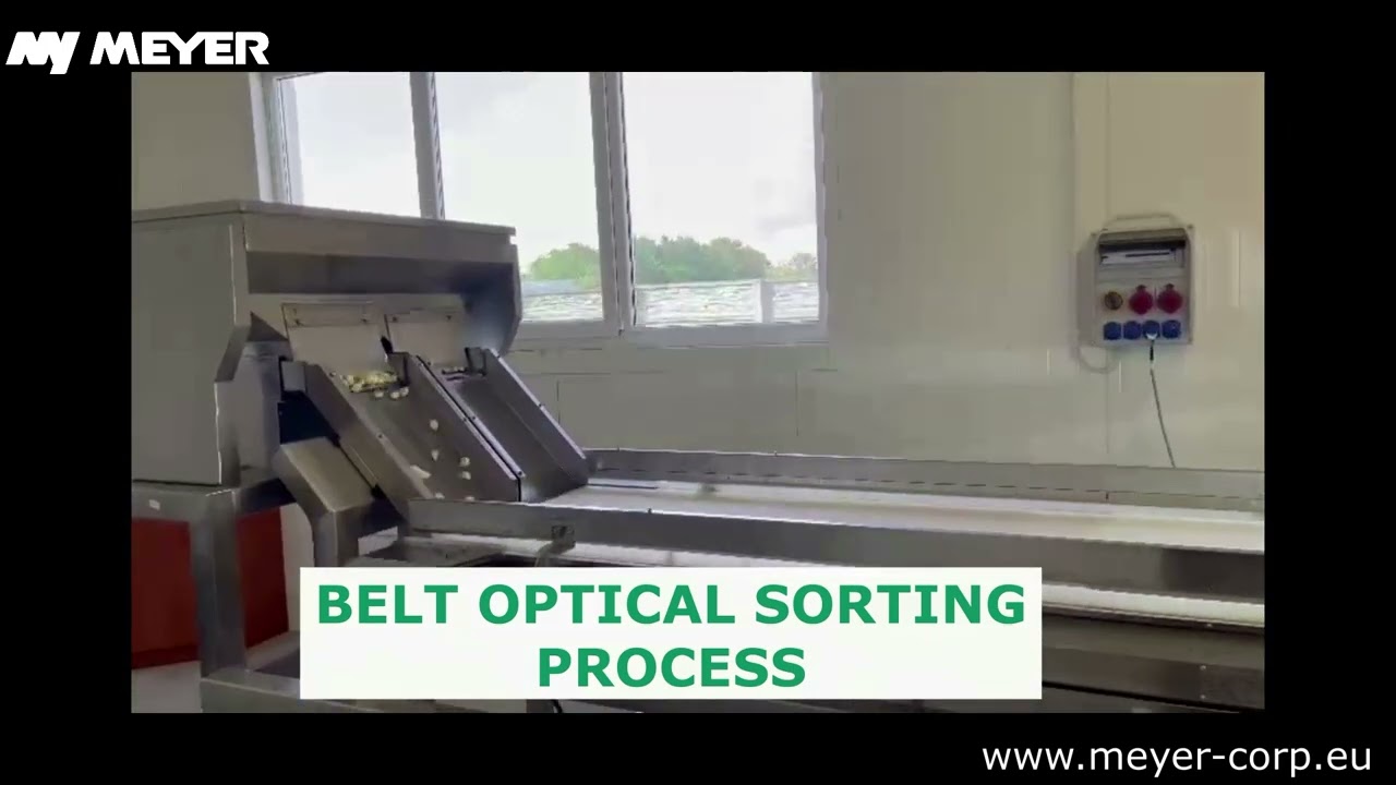 MEYER Garlic optical sorting // Sortowanie optyczne czosnku
