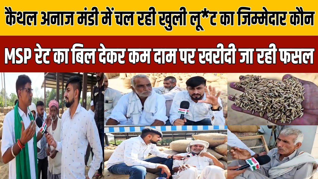 कैथल अनाज मंडी में किसानों के साथ खुली लूट | Kaithal Anaj Mandi News | MSP Rate