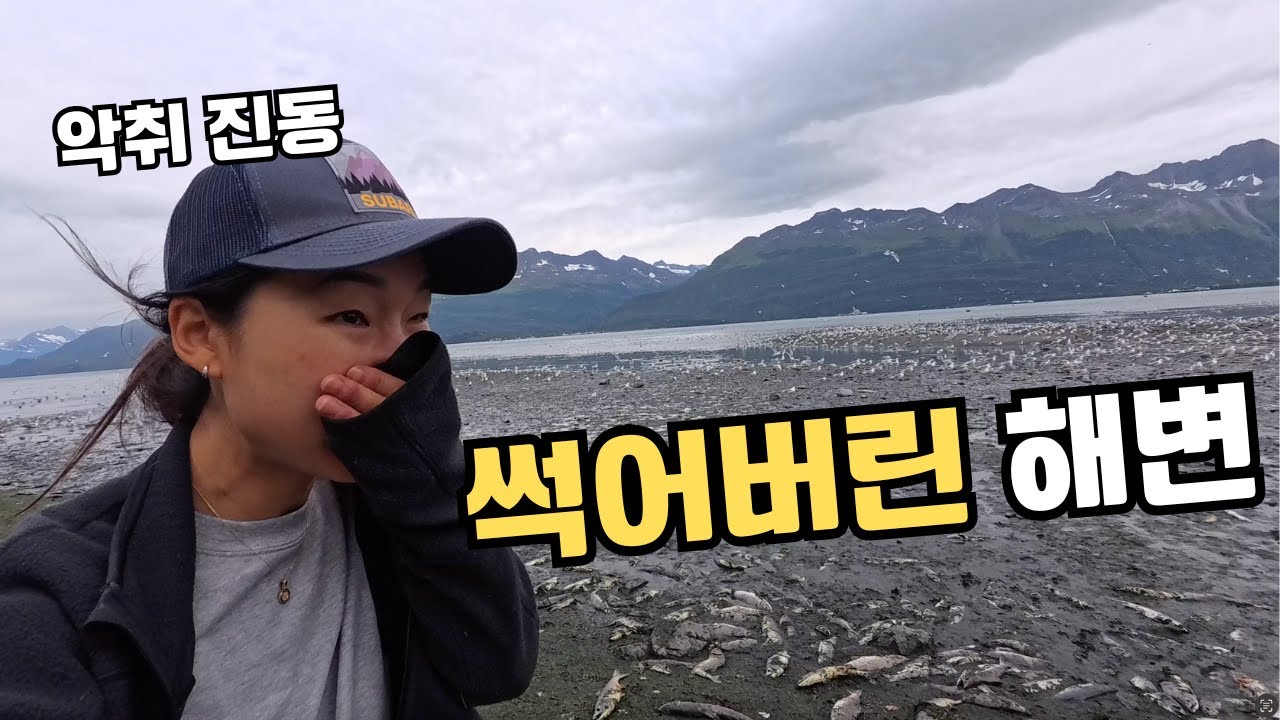매년 수백만 마리의 연어가 썩어가는 알래스카 해변, 그 충격적인 삶과 죽음의 현장에 다녀왔습니다