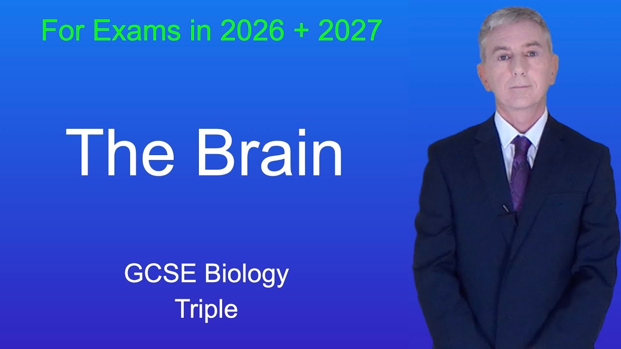 GCSE Biology Revision "The Brain" (Triple)