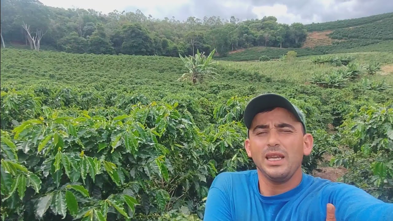 Safra chegou EO preço pra Panha? Como vai ficar