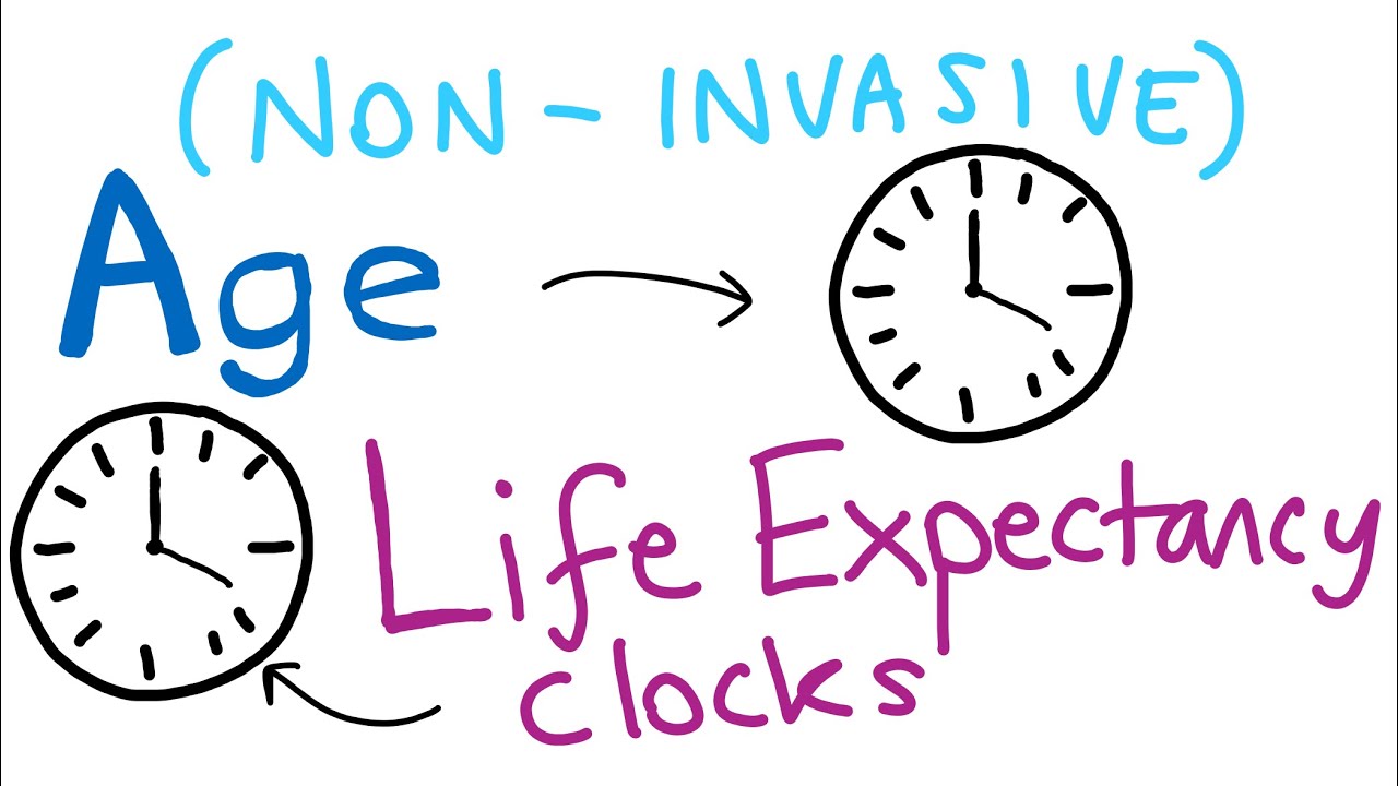 New tools to explore aging interventions (biological clocks)