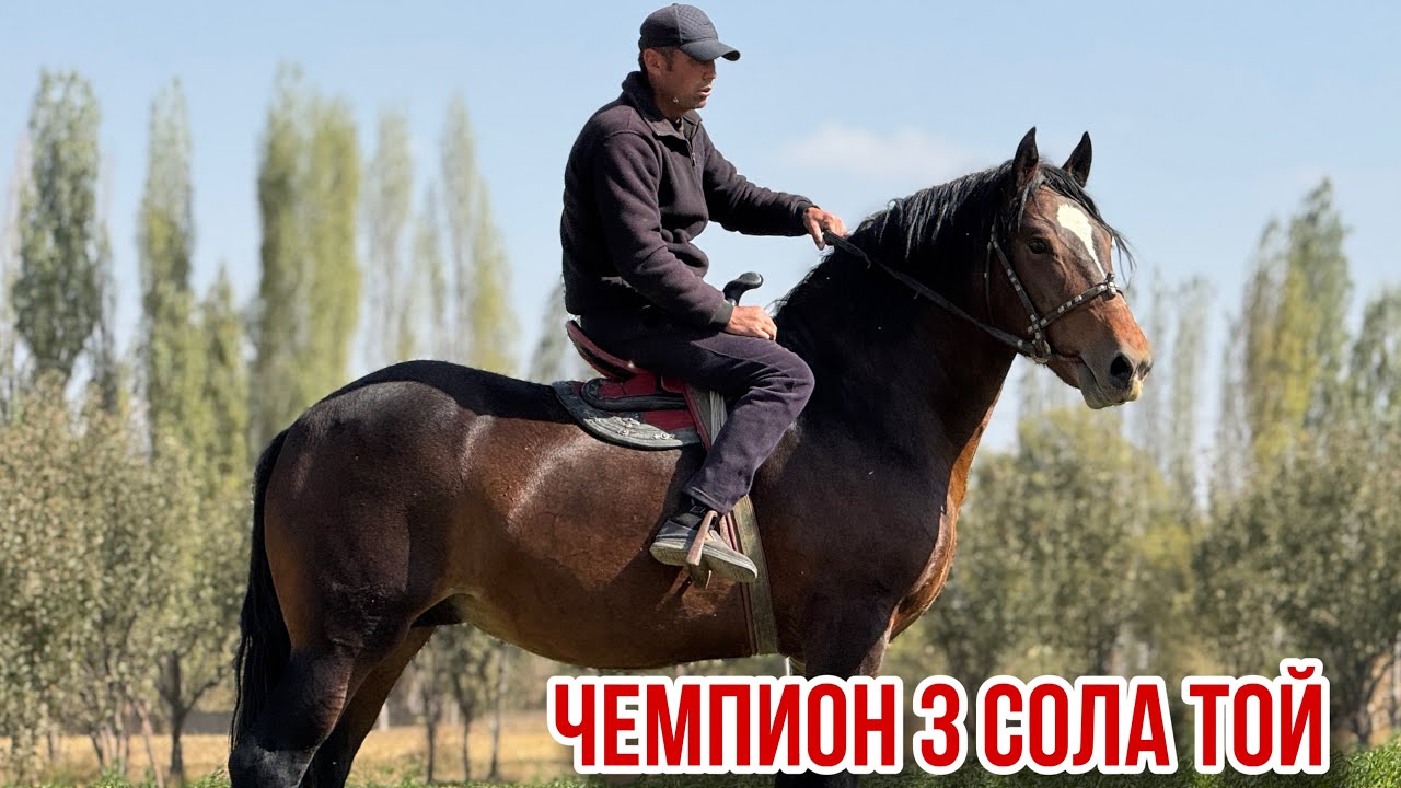 Турук кашка конезавод Абакан той 7 октября 2025 г.