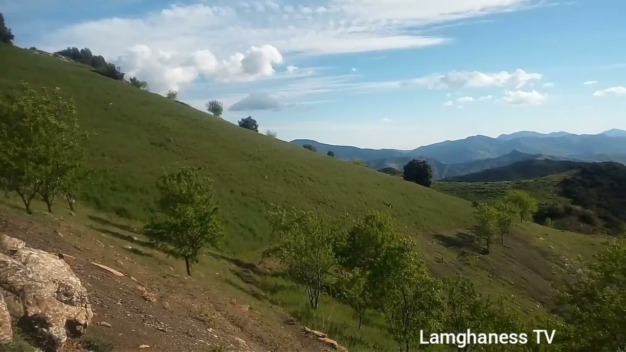 فصل الربيع الهدوء وجمال الطبيعة في ريف گزناية @LamghanessTV @Aissalamghaness