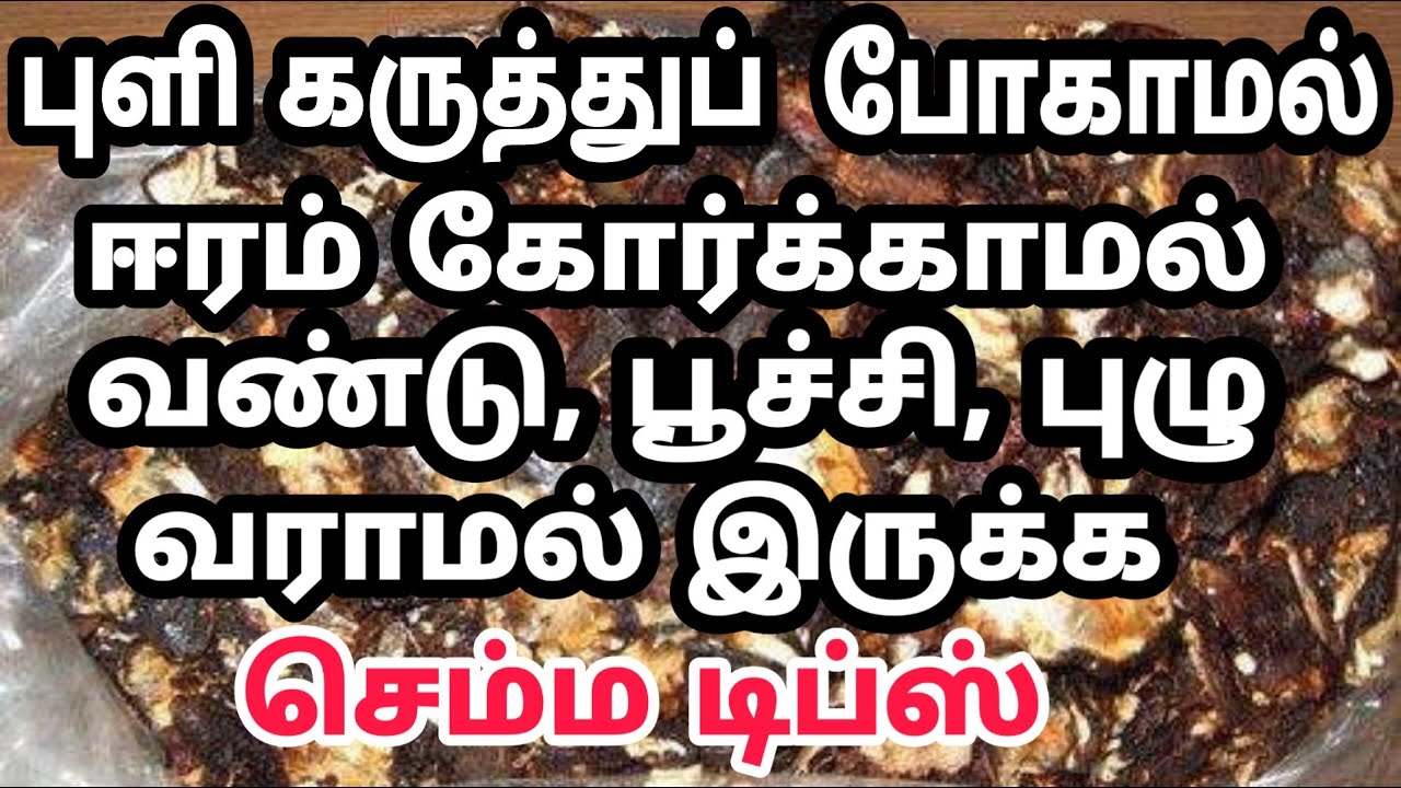 புளி கருத்து போகாமல் ஈரம் கோர்க்காமல் பூச்சி புழு வண்டு வராமல் இருக்க டிப்ஸ் /Rasi Tips