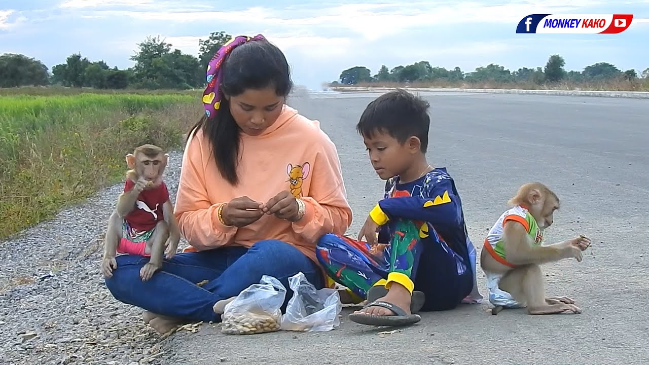 Relaxing Happy Family Baby Monkey KAKO On The High Way Last Weekend