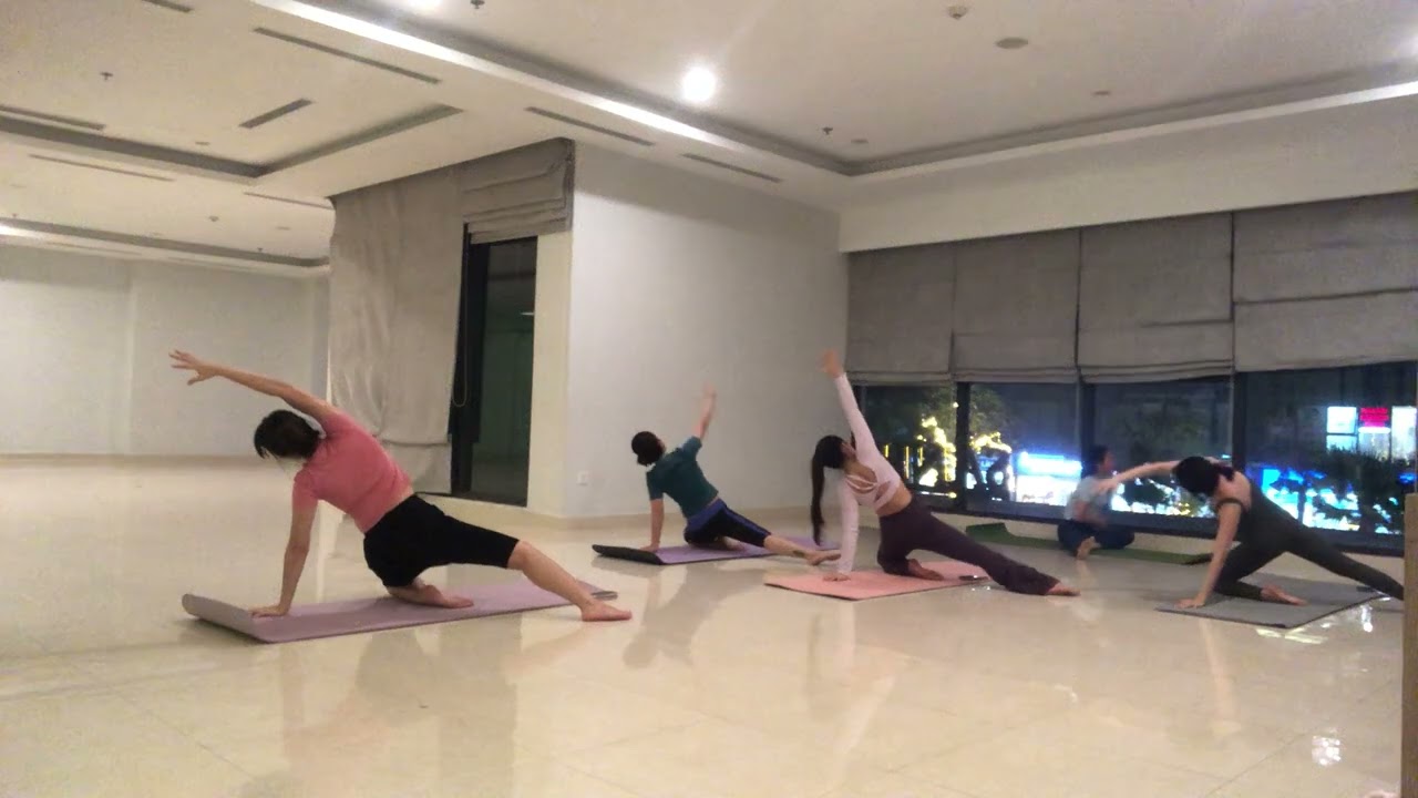 Hatha yoga : cân bằng sức mạnh thân và tâm
