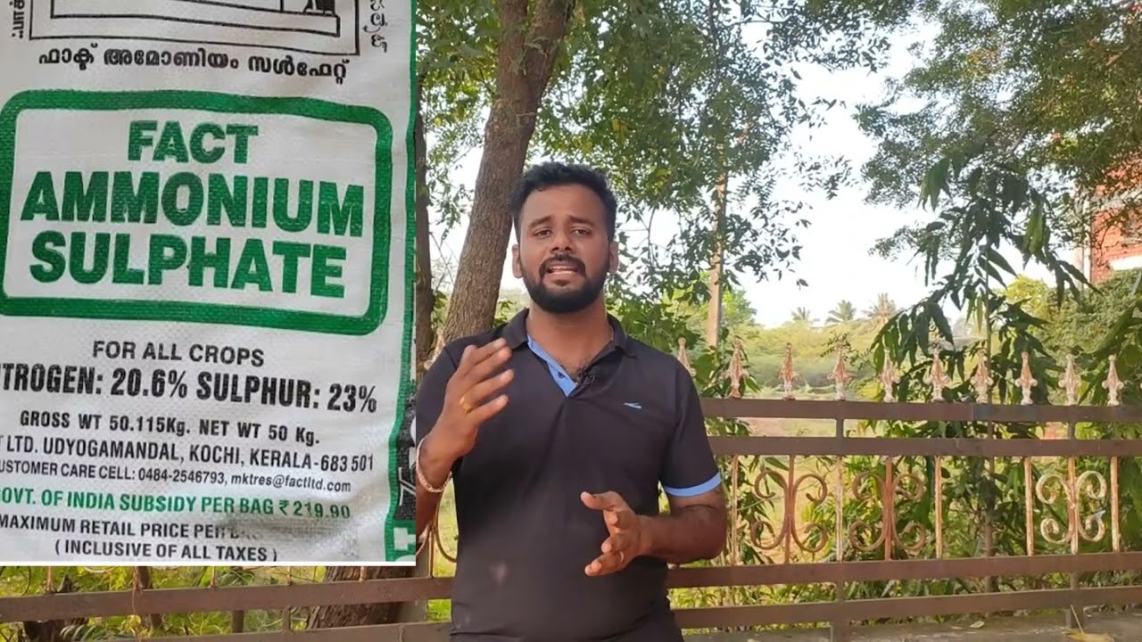 Ammonium chloride Vs Ammount Sulphate எது பெஸ்ட்