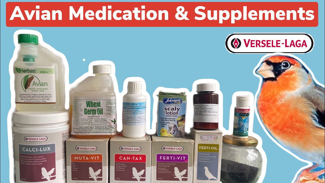 Bird Medication & Supplements | Avian health & nutrition
