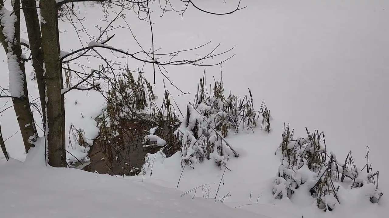 Прогулка в парке 020126