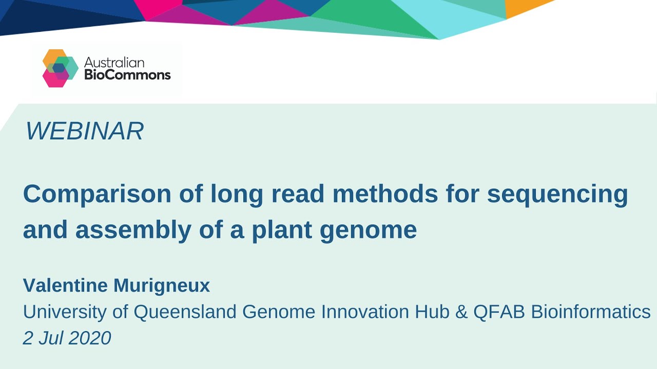Comparison of long read methods for sequencing and assembly of a plant genome