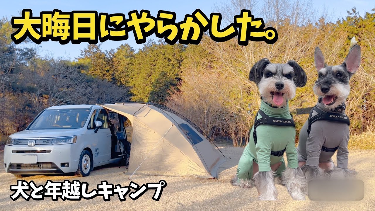 【犬連れキャンプ】ミニチュアシュナウザーたちと行った年越しキャンプがハプニングだらけだった話|朝霧ジャンボリーオートキャンプ場