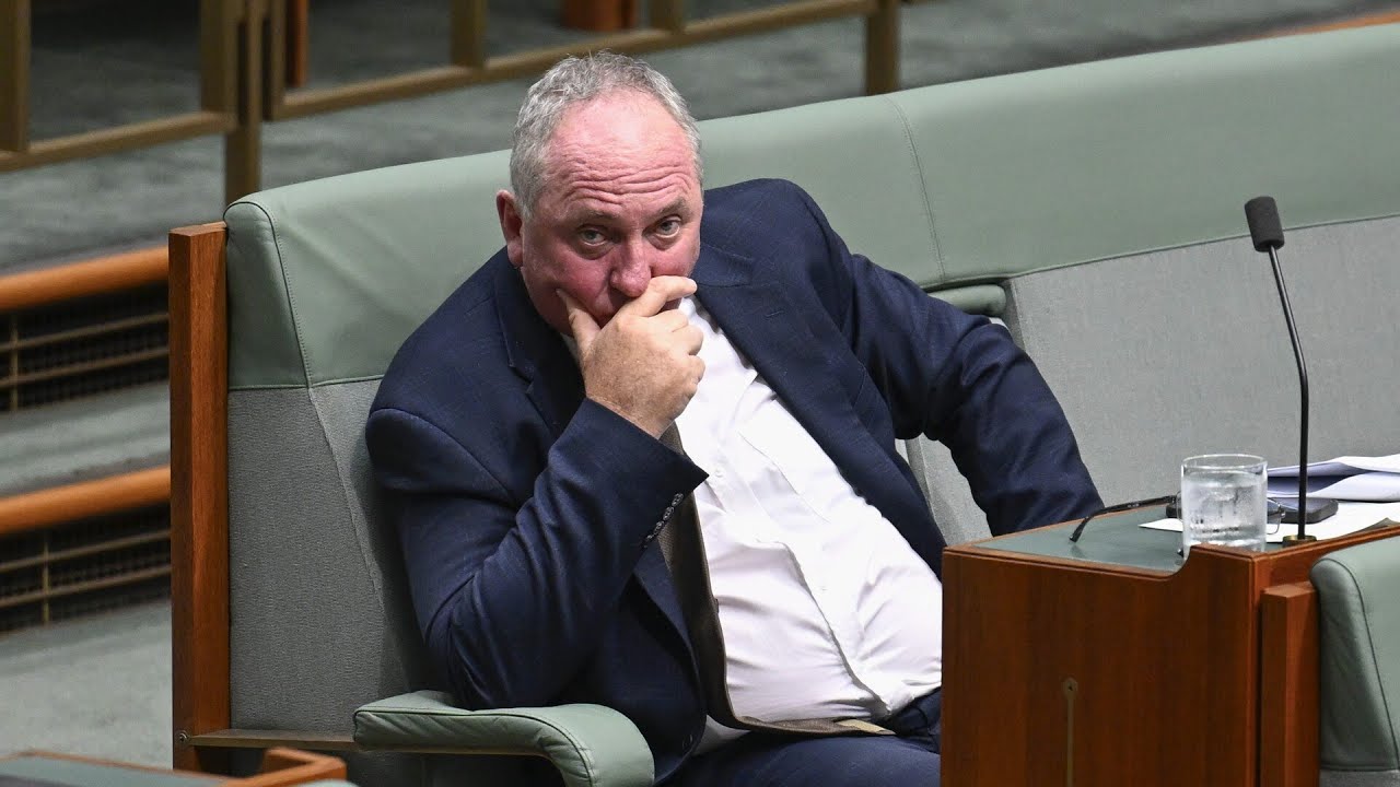 ‘I don’t buy this’: Barnaby Joyce reacts to David Littleproud resigning
