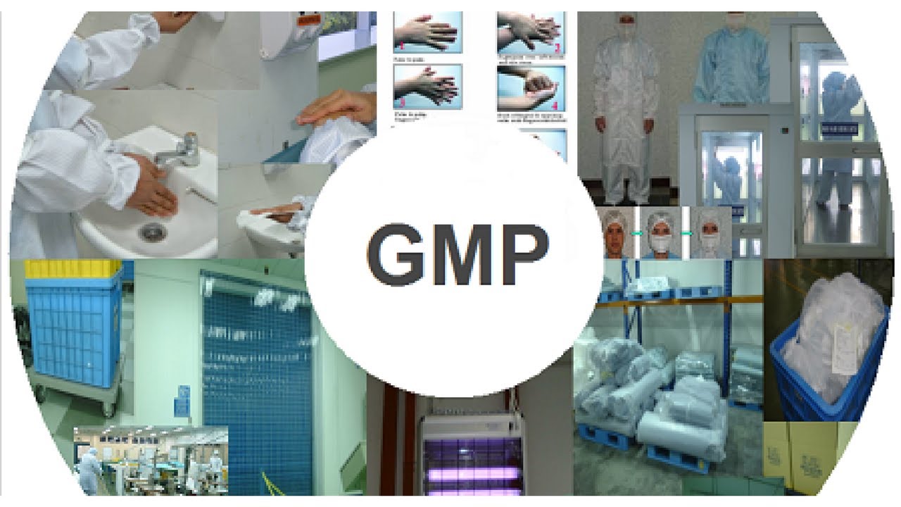 3.1. GMP ЕС: структура законодательства и общие положения Директивы 2003/94/EC