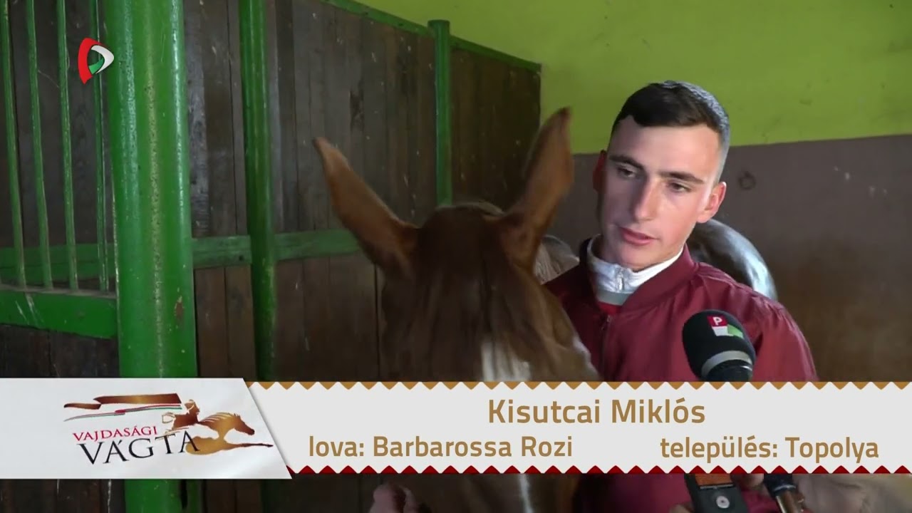 Vajdasági Vágta 2024 – Kisutcai Miklós