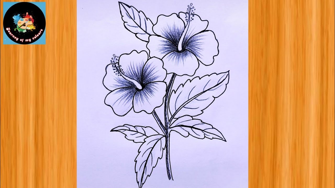 Flowers 🌺Drawing step by step |Hibiscus Drawing | Joba ful  || China rose Drawing for beginners.