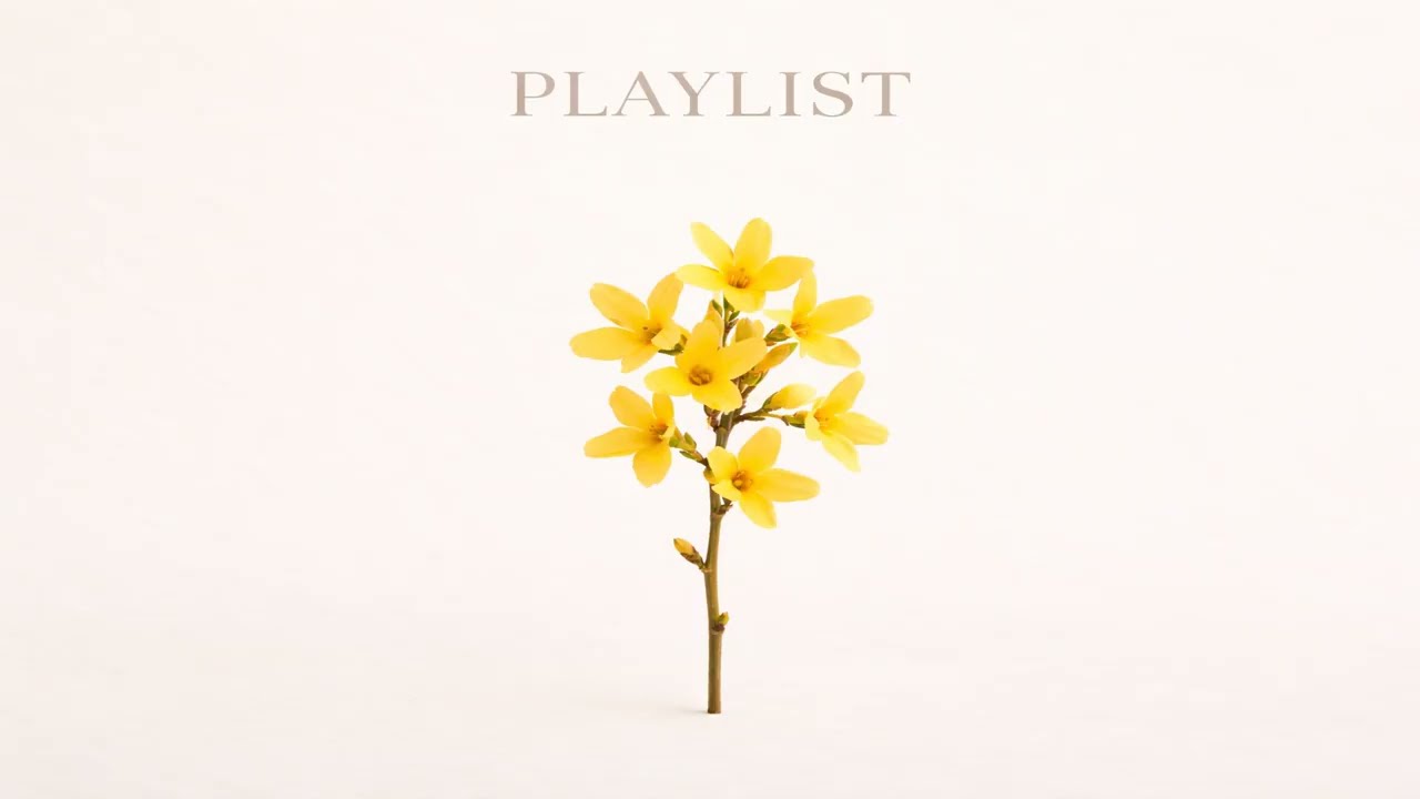 카페플리☀️ Happiness in Every Song ☀️ Bright Cafe Pop for Work & Study 