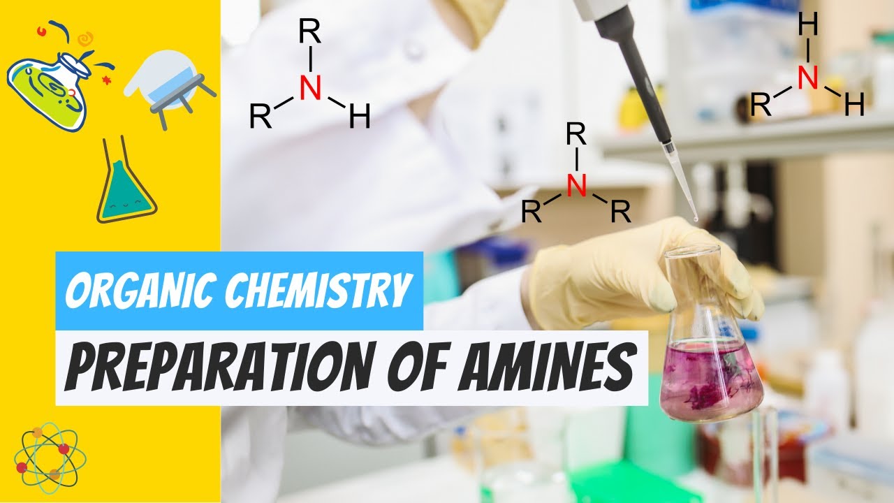 10 Preparation Methods of Amines | Synthesis of Amines | Organic Chemistry