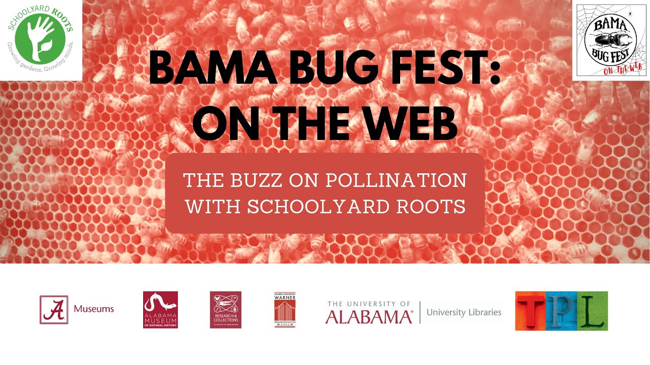 Bama Bug Fest: On the Web - The Buzz on Pollination with Schoolyard Roots