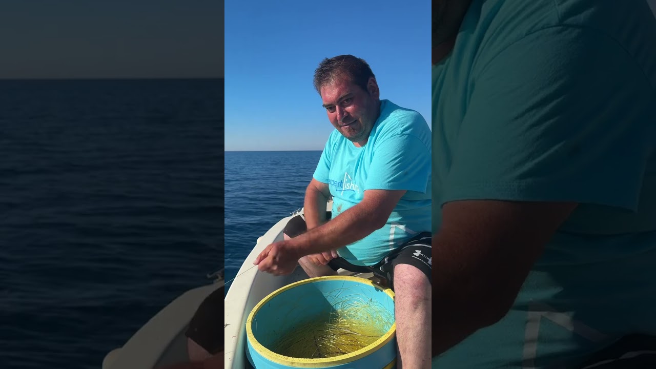 Παραγάδι για τσιπούρες μουρμούρια και σπάρους.