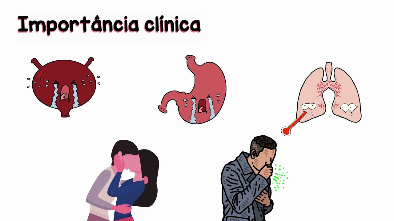 Quinolonas - Bacteriologia Veterin&aacute;ria