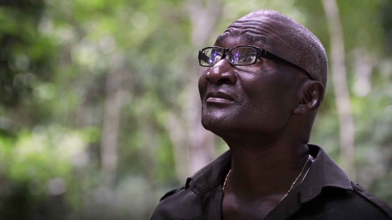 Le Parc National de Nouabalé-Ndoki célèbre ses 30 ans | WCS Congo