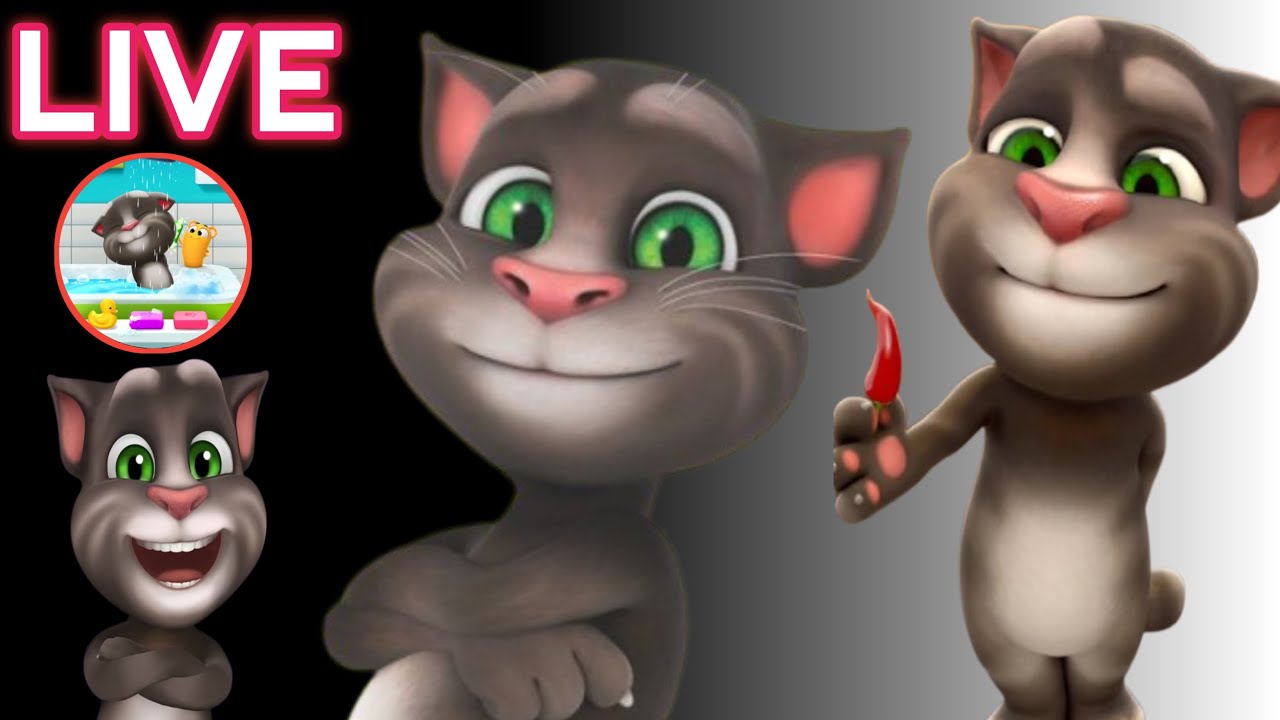 Talking Tom game