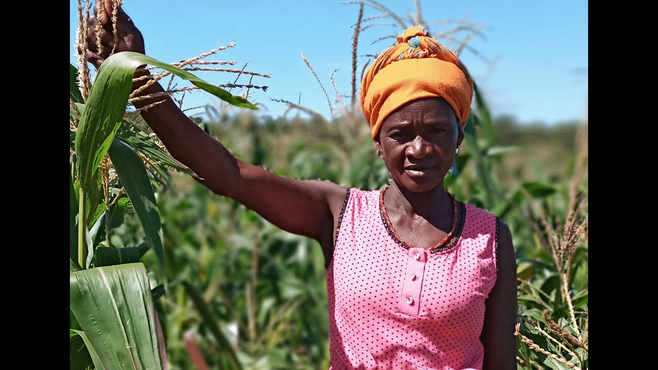 World Vision na luta contra a insegurança alimentar
