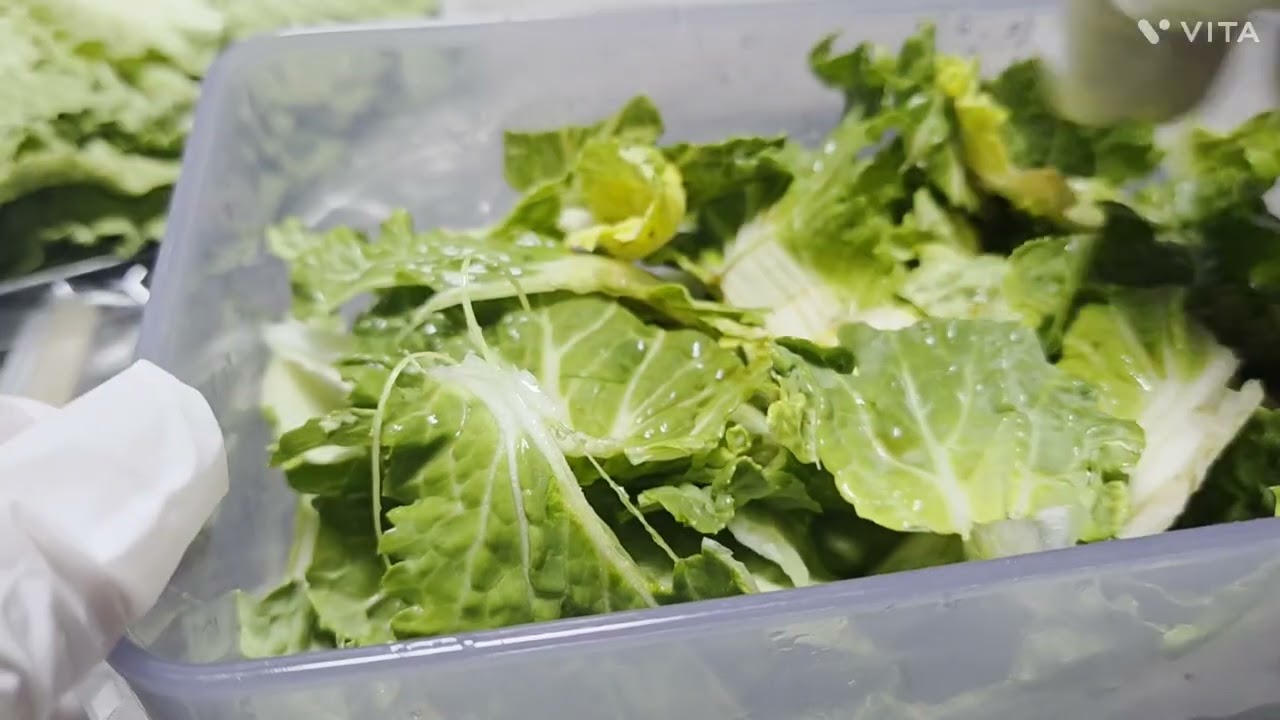 129 봄동비빔밥
