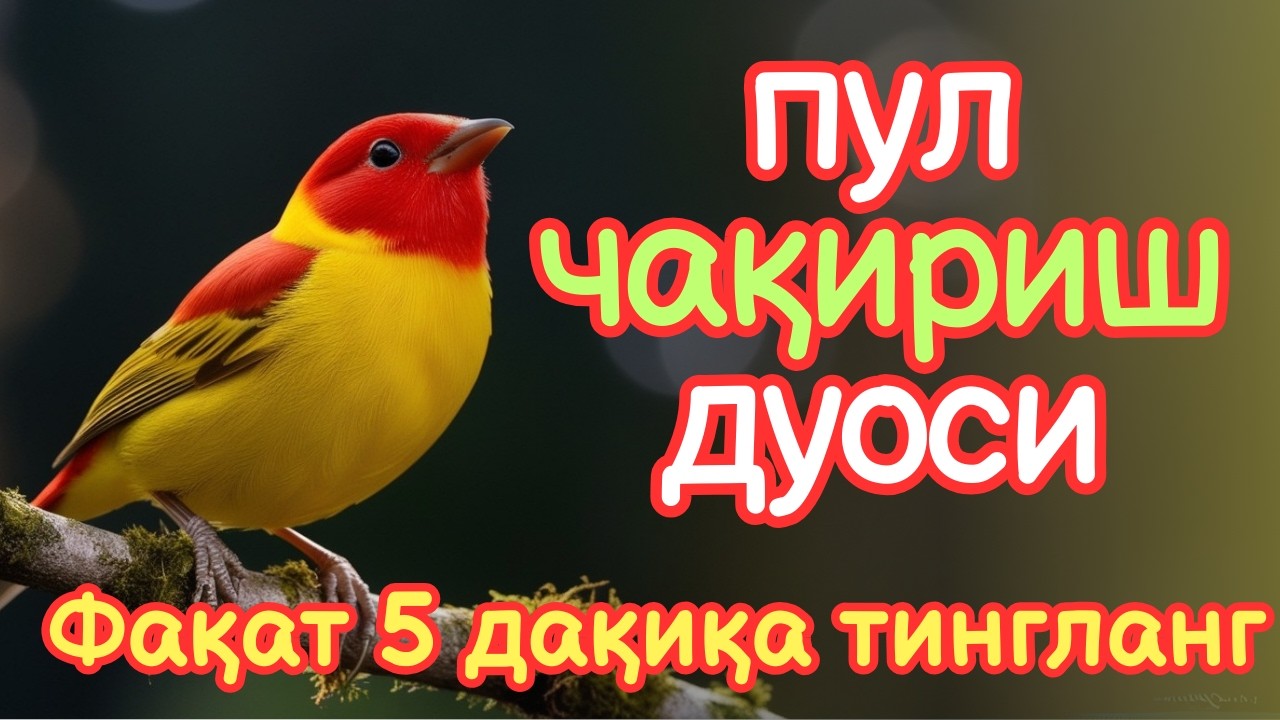 5 ДАҚИҚАДАН СЎНГ СИЗ КАТТА МИҚДОРДАГИ ПУЛНИ ОЛАСИЗ, ПУЛ ЧАҚИРИШ УЧУН СУРА