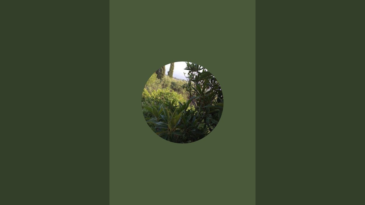 بدأت قناة 
