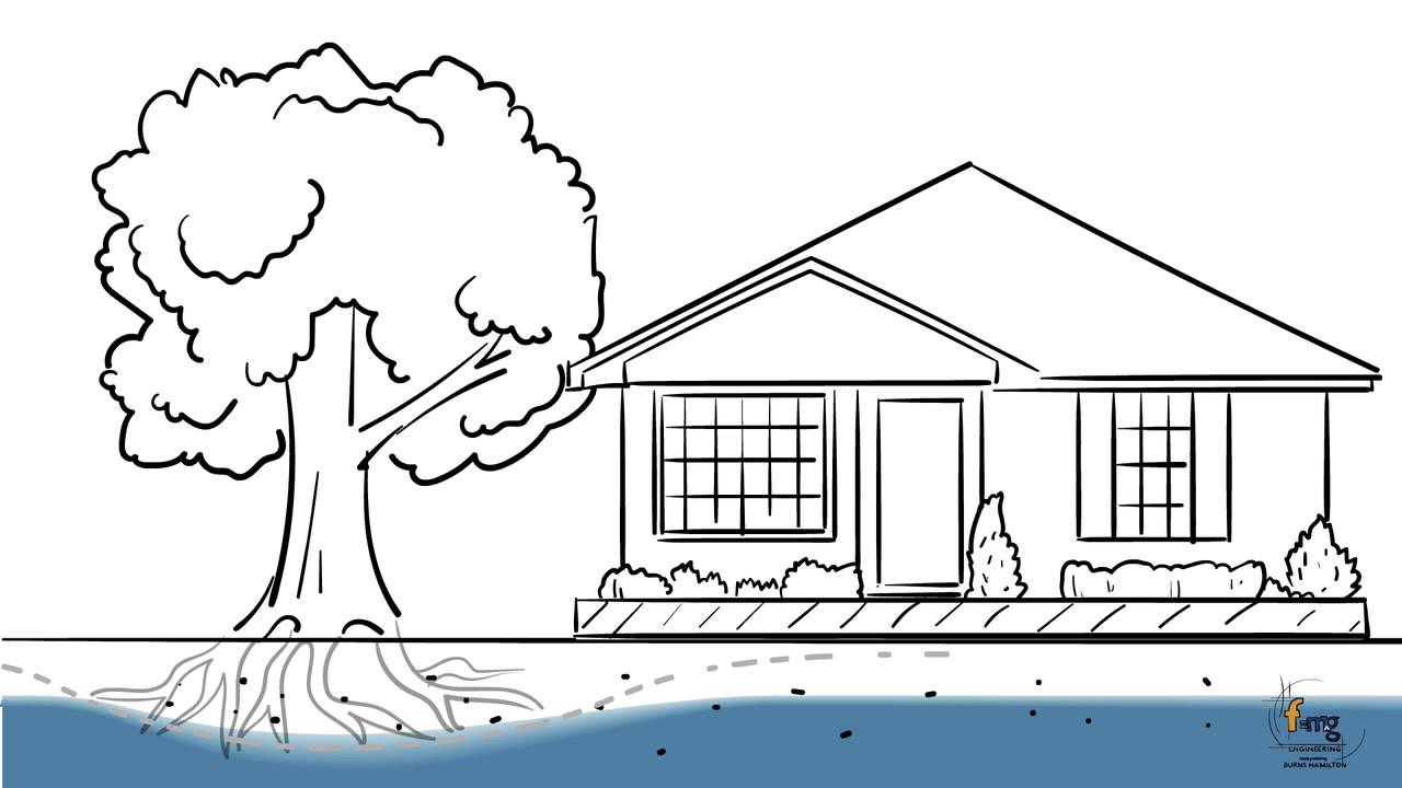 FMG Engineering - Impact of Trees on Buildings