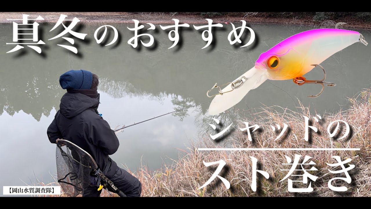 【冬のバス釣り】真冬の新常識。動かし方ひとつでバスの反応が激変した“スト巻き”の破壊力。食わせの軌道を作るだけ。真冬のシャッドは巻きの質で差が出る。　冬のおすすめルアーの使い方　レベルシャッド