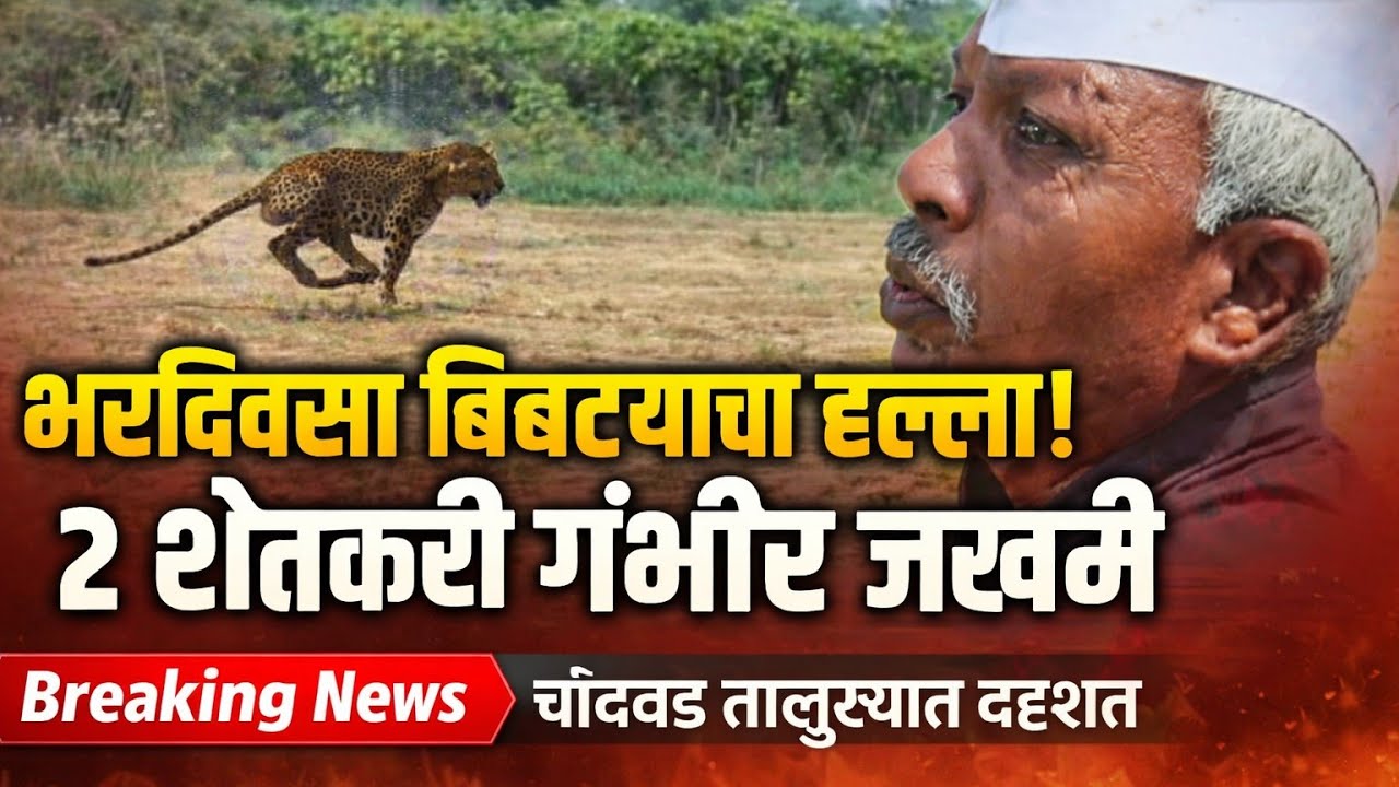 चांदवड:-&ldquo;भर दिवसा बिबट्याचा हल्ला! चांदवड तालुक्यात दोन शेतकरी गंभीर जखमी&rdquo;