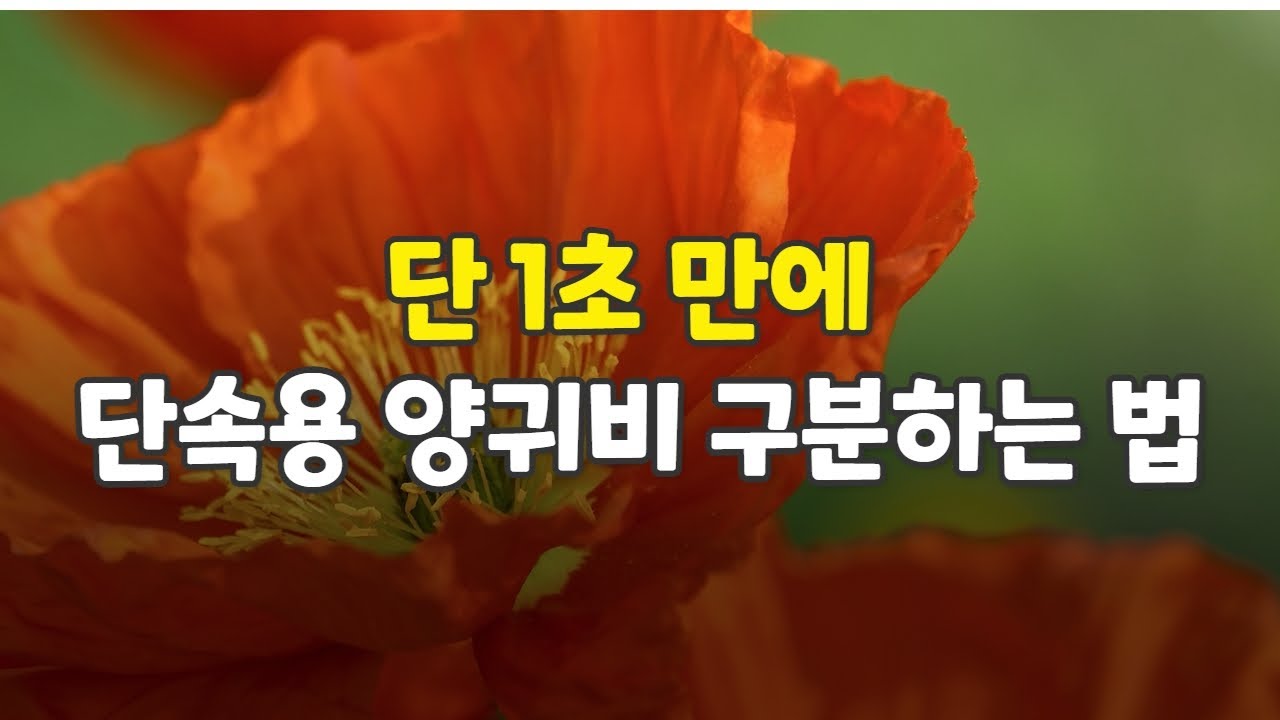 단 1초 만에 단속용 양귀비 구분하는 법