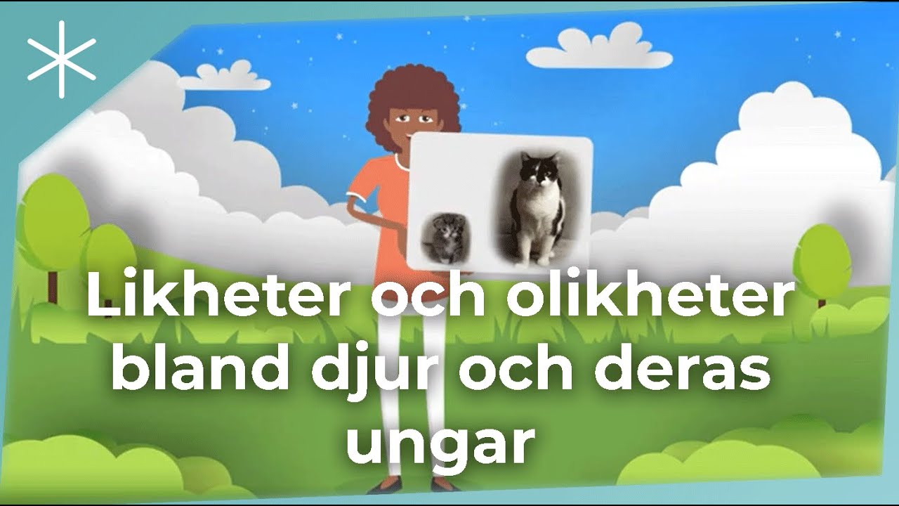 Likheter och olikheter bland djur och deras ungar