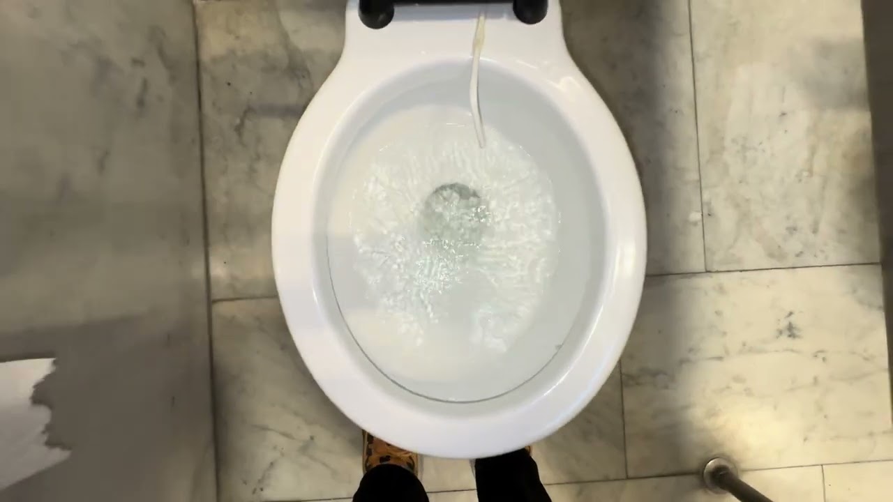 🚽 Bathroom tour: Vintage Toilet Extravaganza at the Rhode Island State Capitol