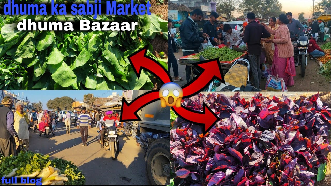 Sabji Market //dhuma bajar #powervlogmp20    सब्जी मार्केट //धूमा बाजार #viral #marketing 
