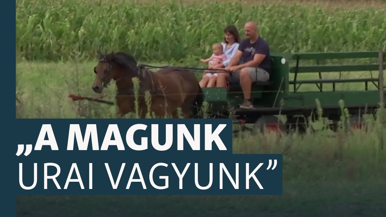 Városból vidékre – önellátó családoknál jártunk: Domóci tanya