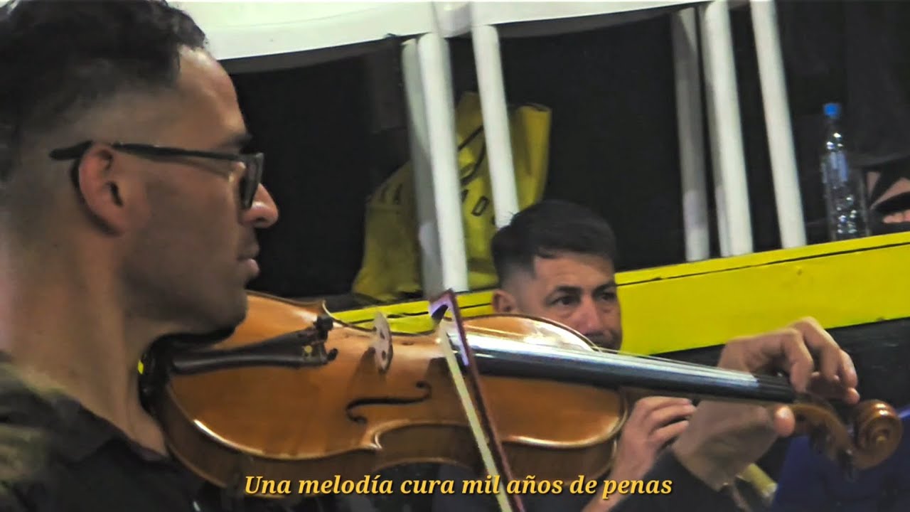 Vida de músico - Samuel Helman ft. Alex Bratsche (Videoclip)