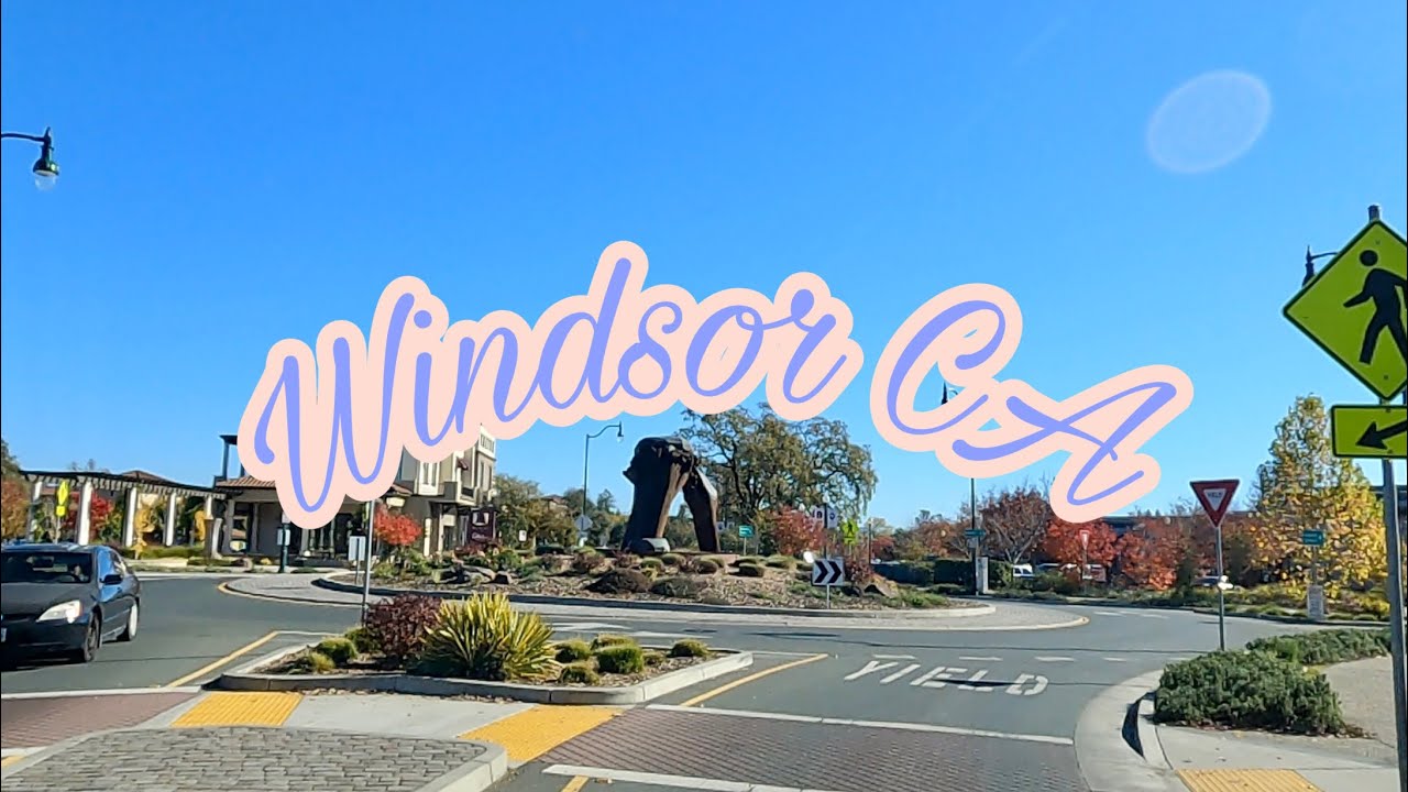 Windsor California // amazing trips around the USA // random trips USA