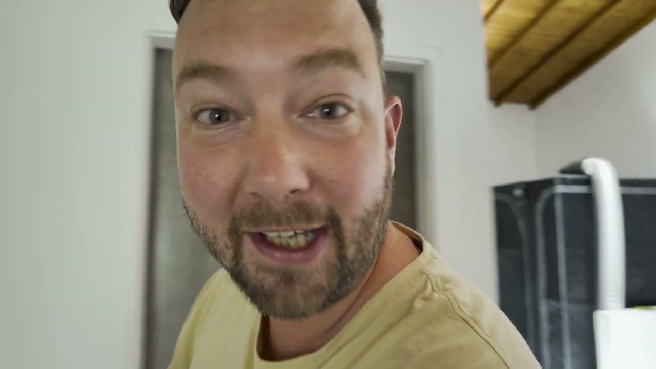🌱 VLOG Q's Garden! What is growing on at Q's? VLOG EPISODE 1. How to germinate cannabis seeds?🌱
