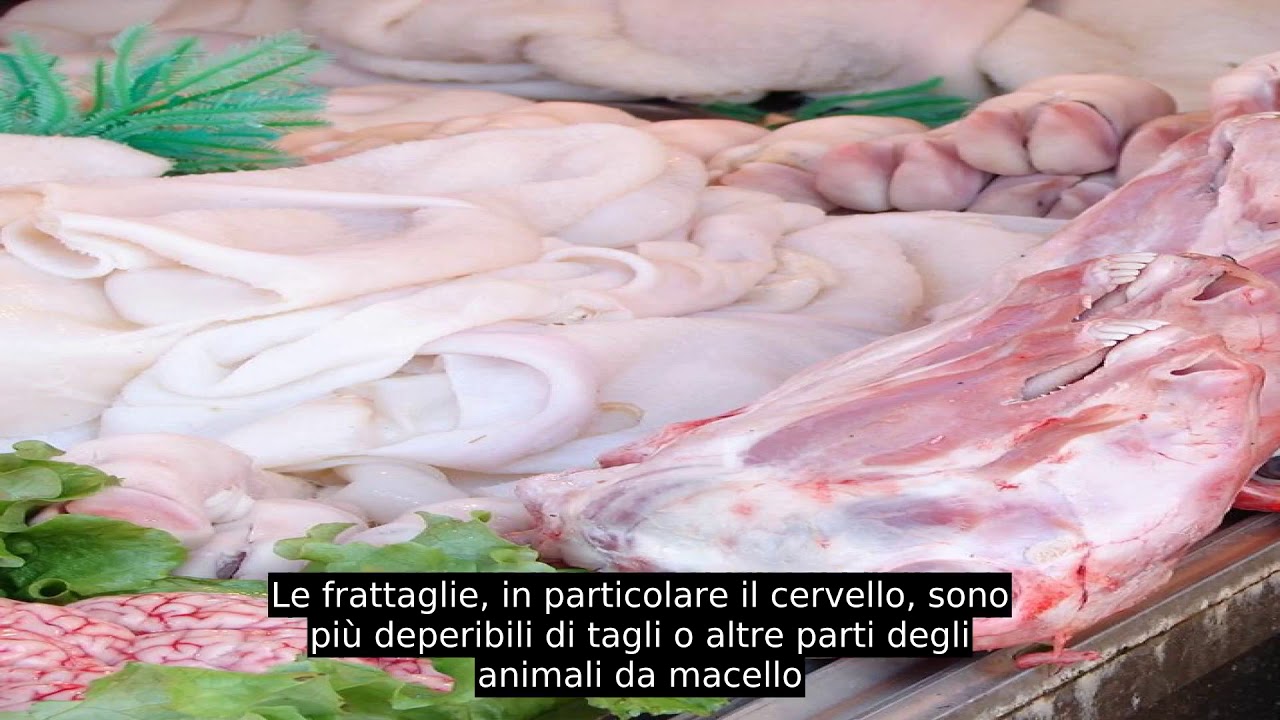 Frattaglie