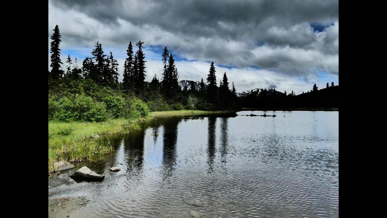 Alaska Wildland Adventures trip to the Kenai Fjords