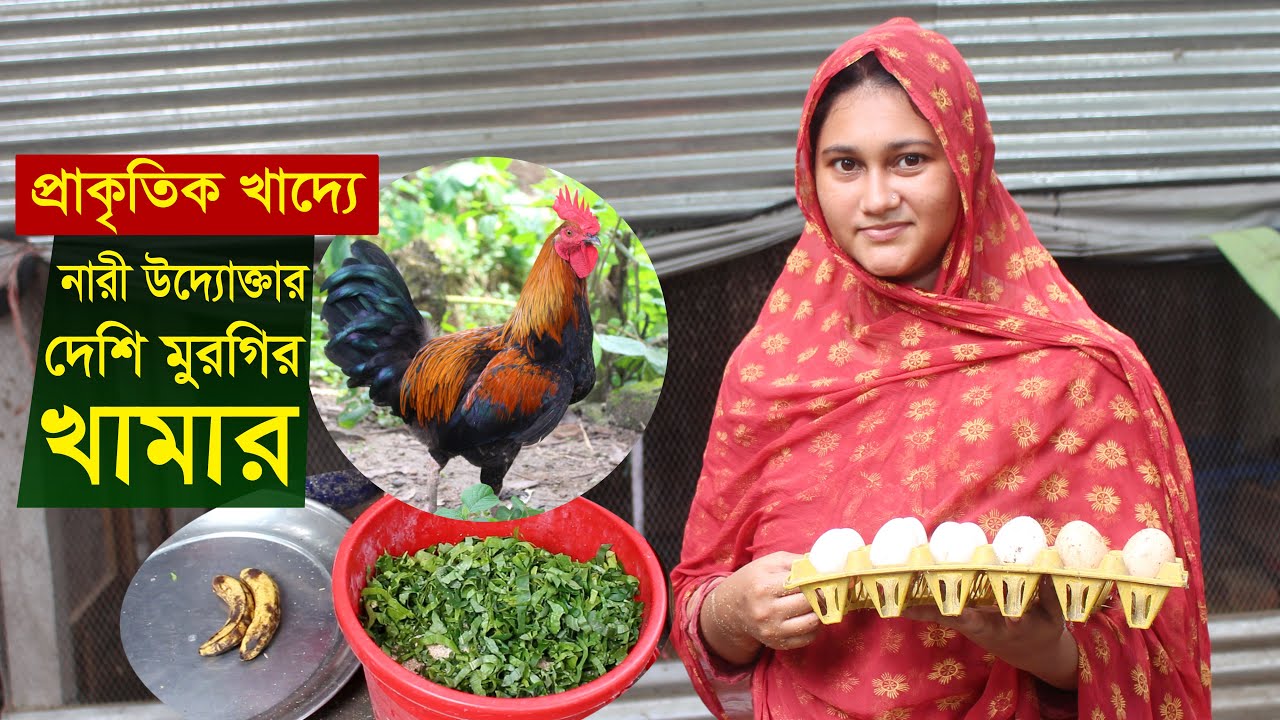 সংসারের পাশাপাশি নারী উদ্যোক্তার প্রাকৃতিক খাদ্যে দেশি মুরগির খামার | Desi murgi palan | Desi murgi